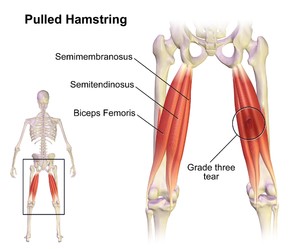 21. Exercises - Supine Isometric Heel Digs 