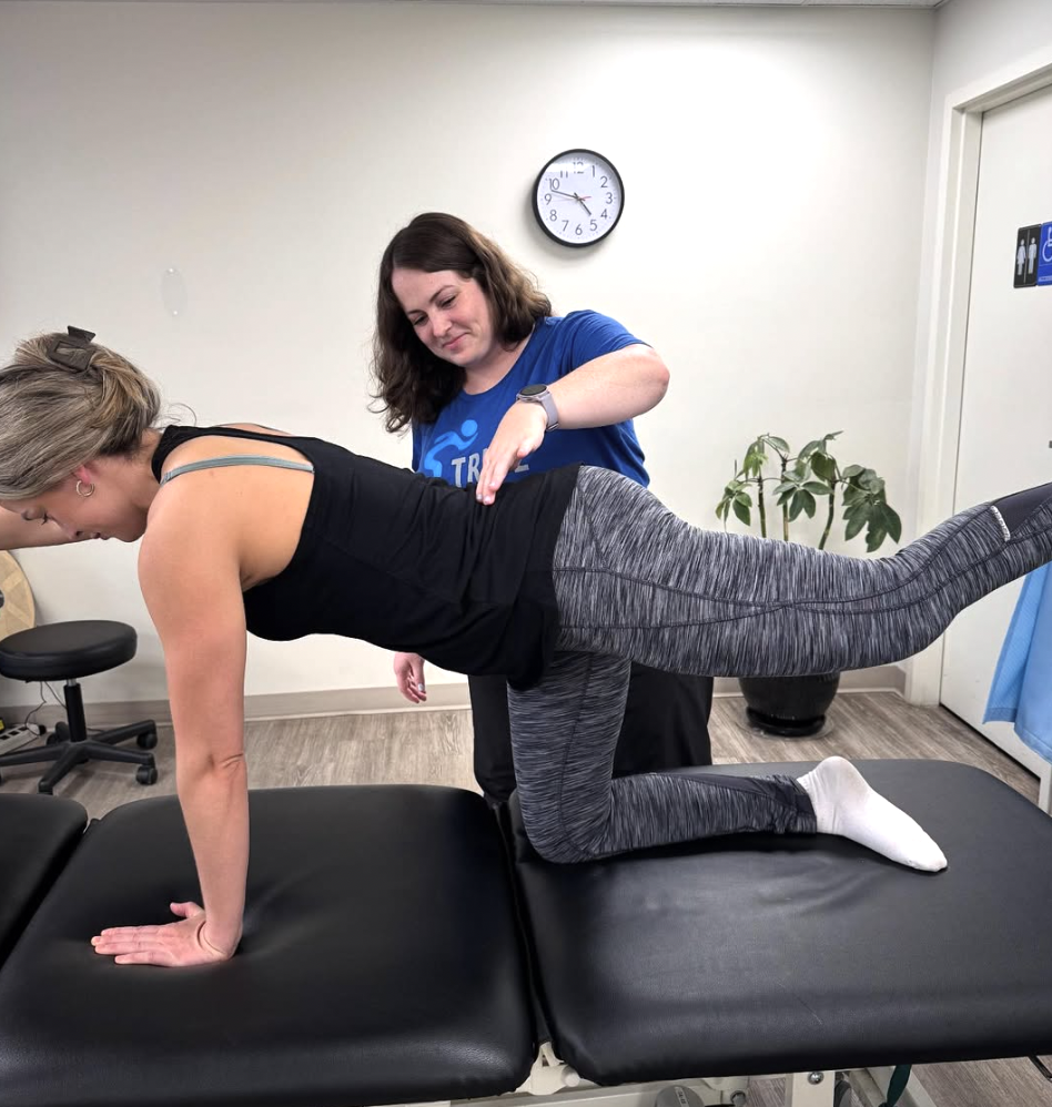 physiotherapy vs chiropractic care