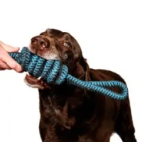 Hershey-scaled-e1732838072206-240x240
